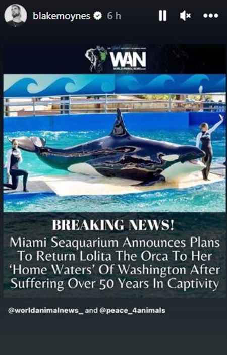 Bachelorette Alum Blake Moynes Shares Happy Orca News